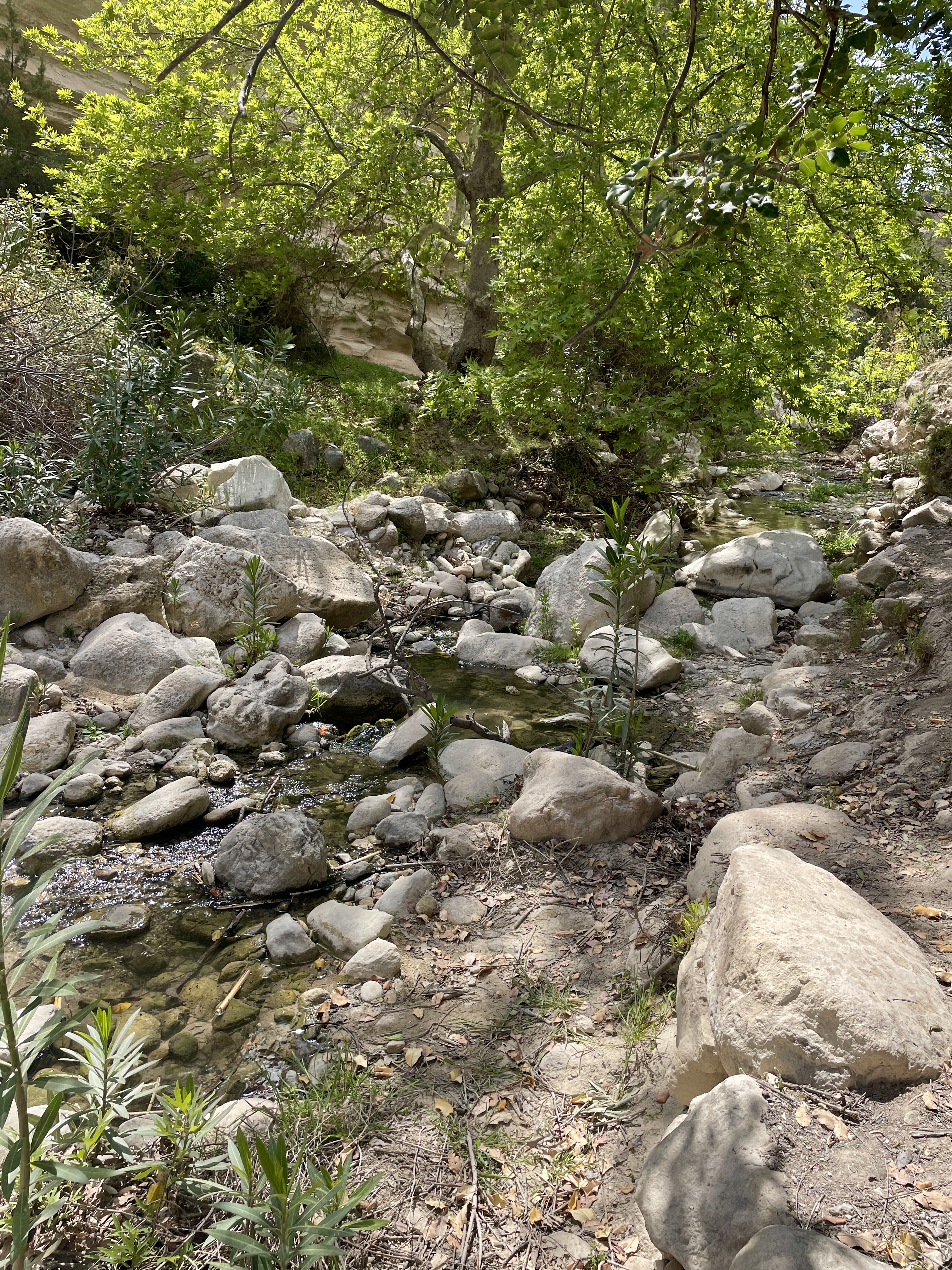 Avakas Gorge Nature trail Cyprus
