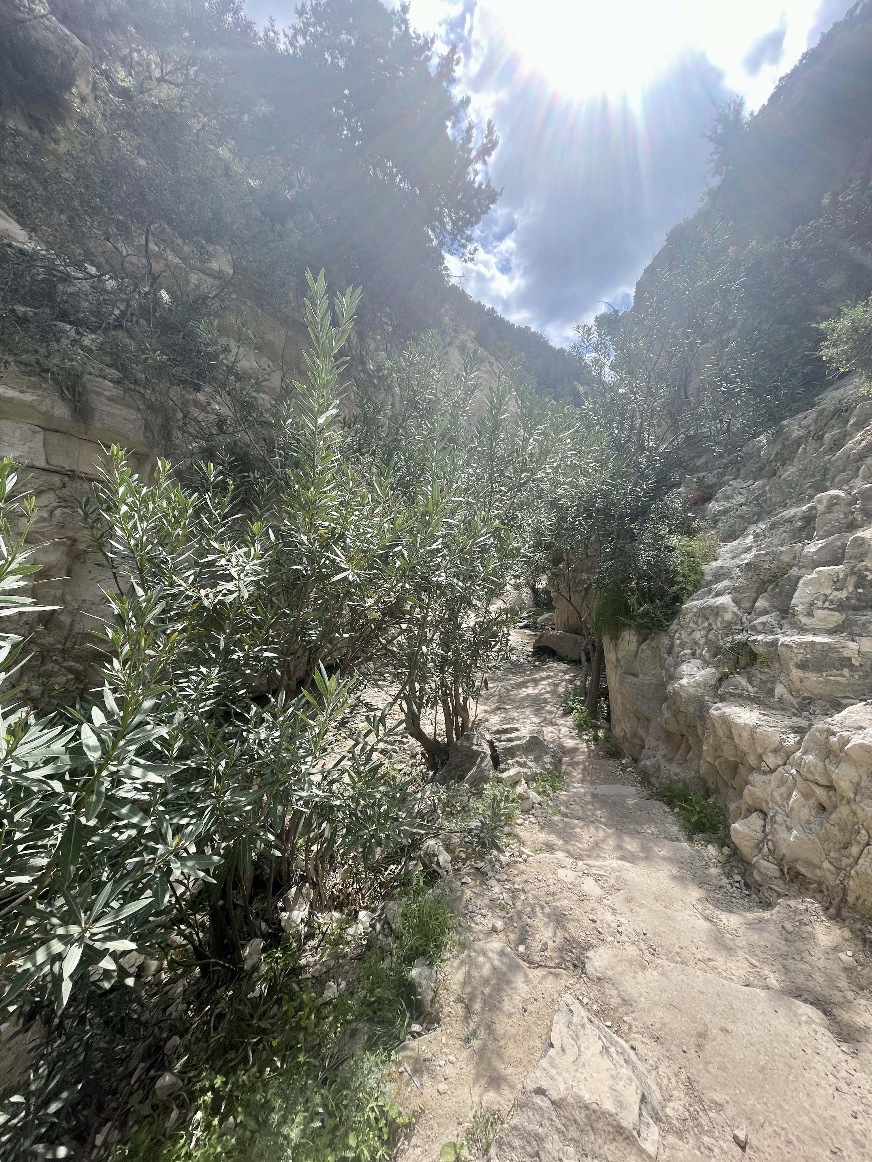 Avakas Gorge Nature trail Cyprus