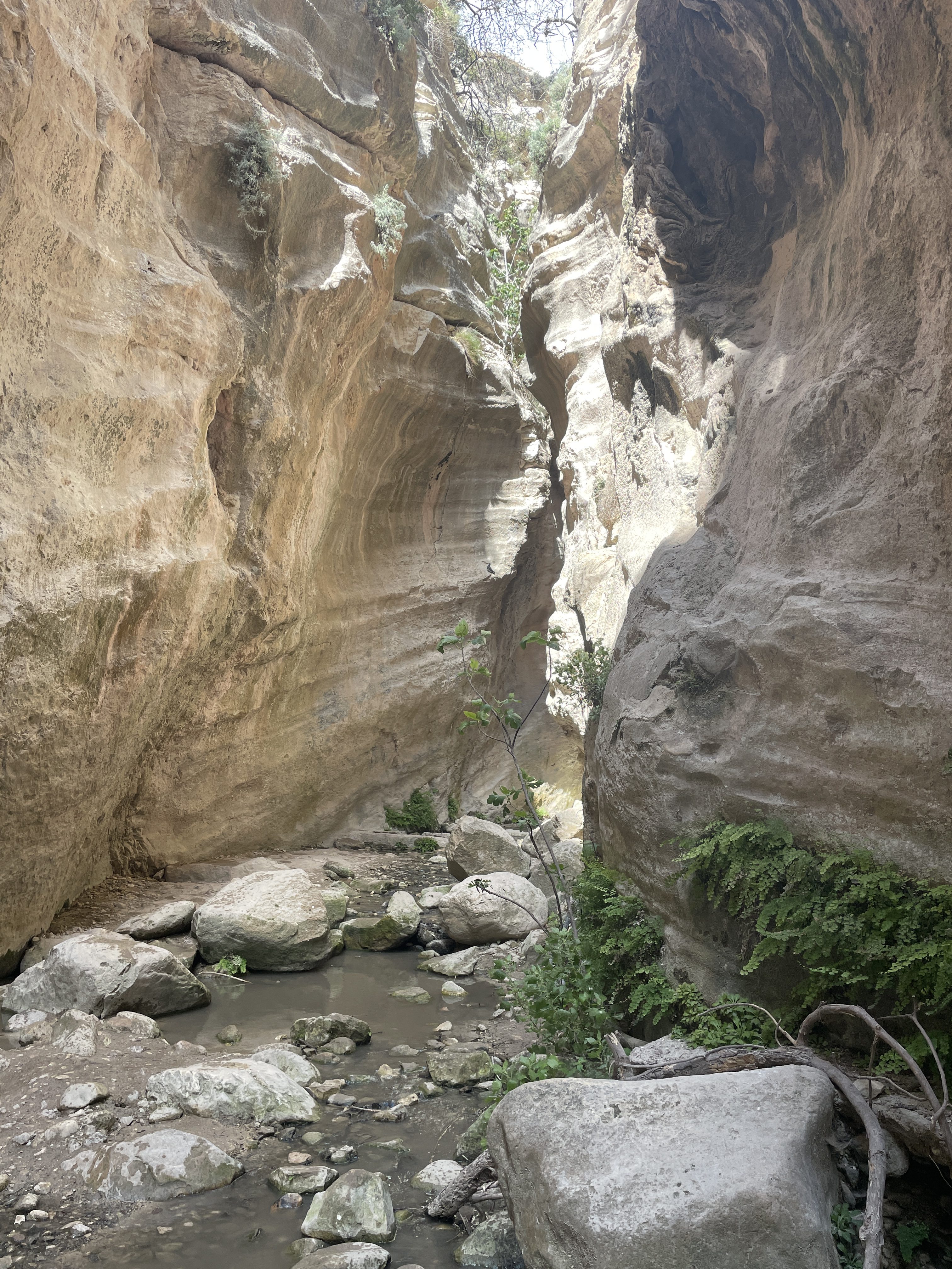 Avakas Gorge Hike