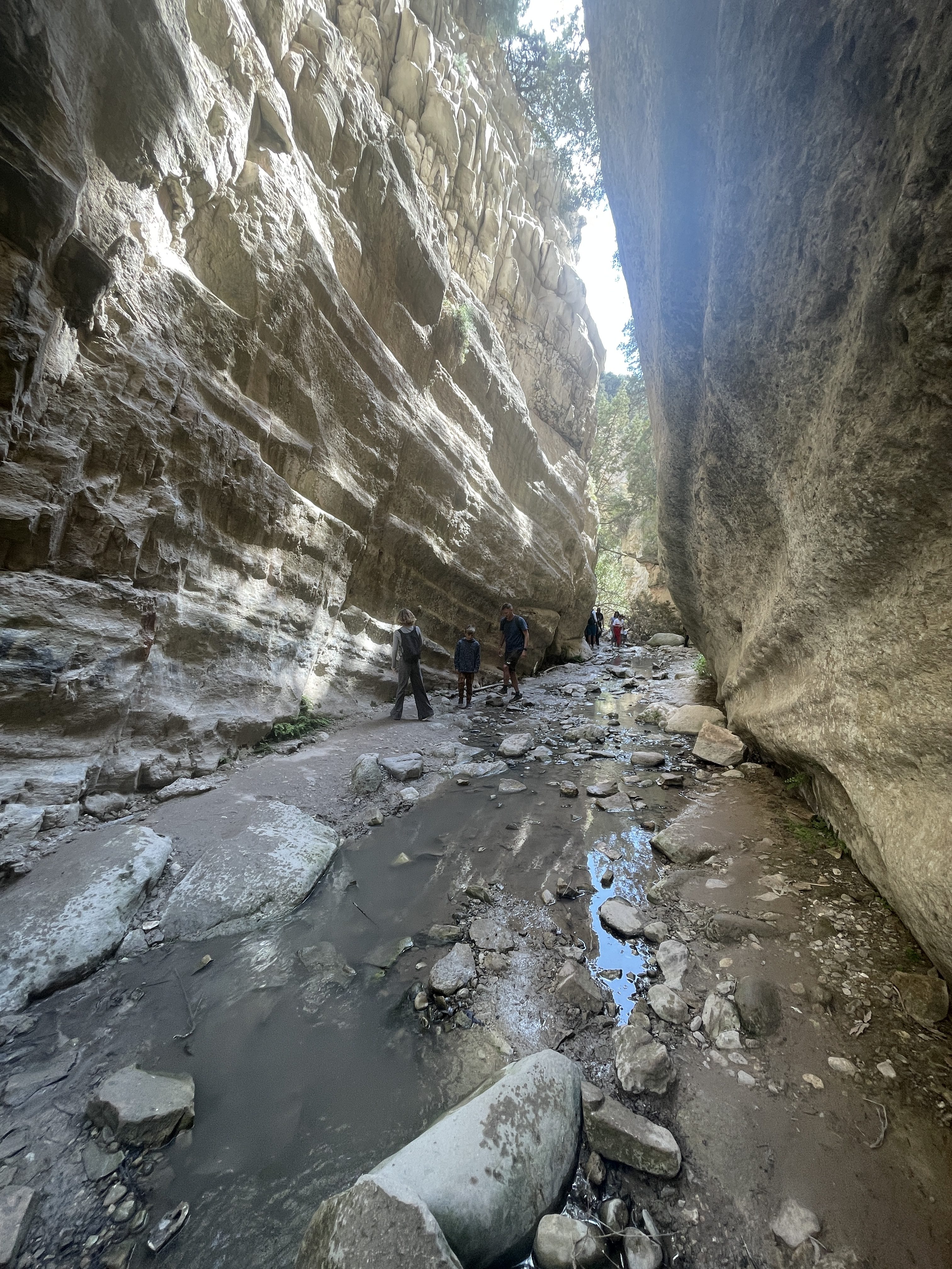 Avakas Gorge Hike