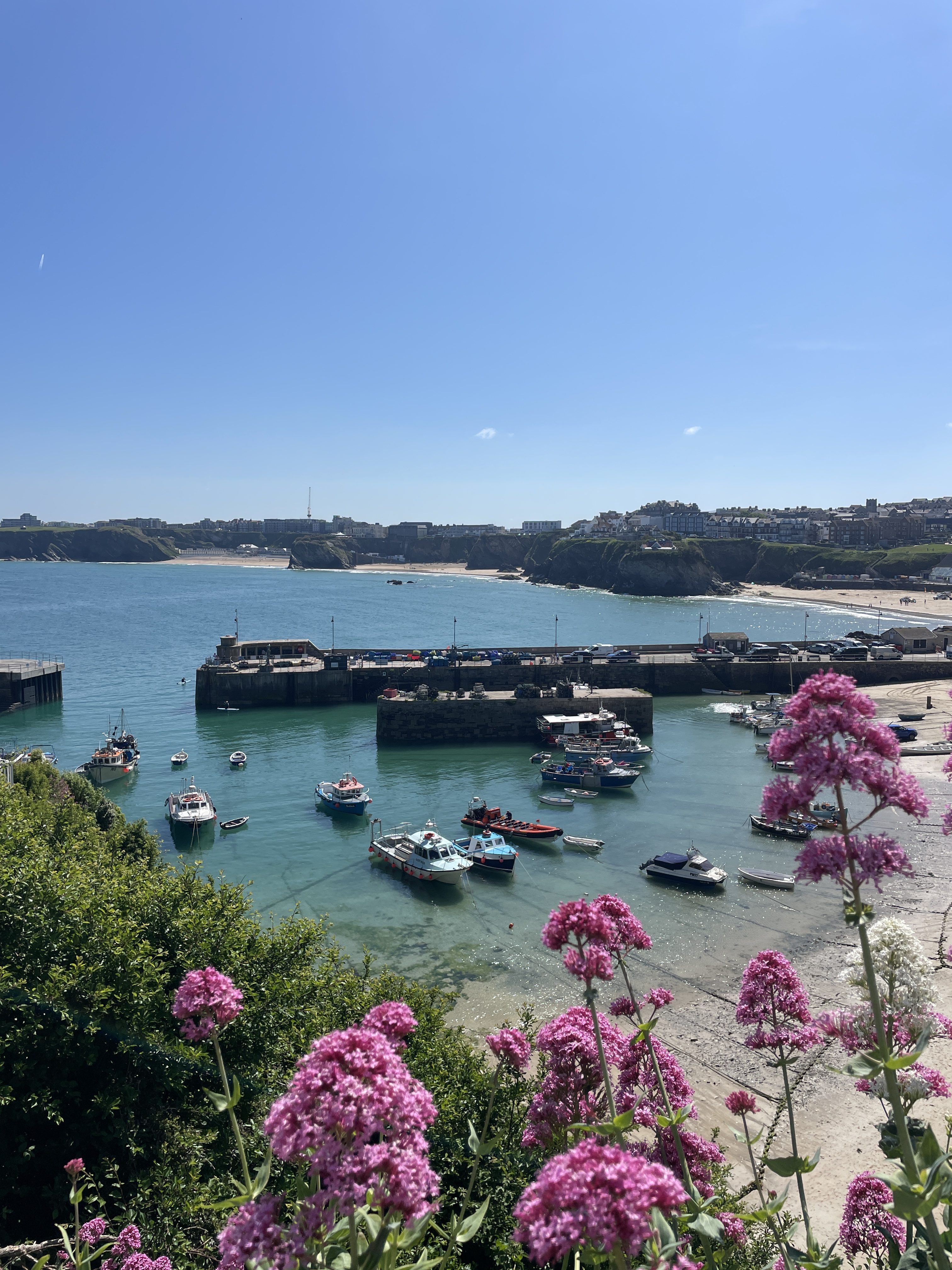 Newquay harbour