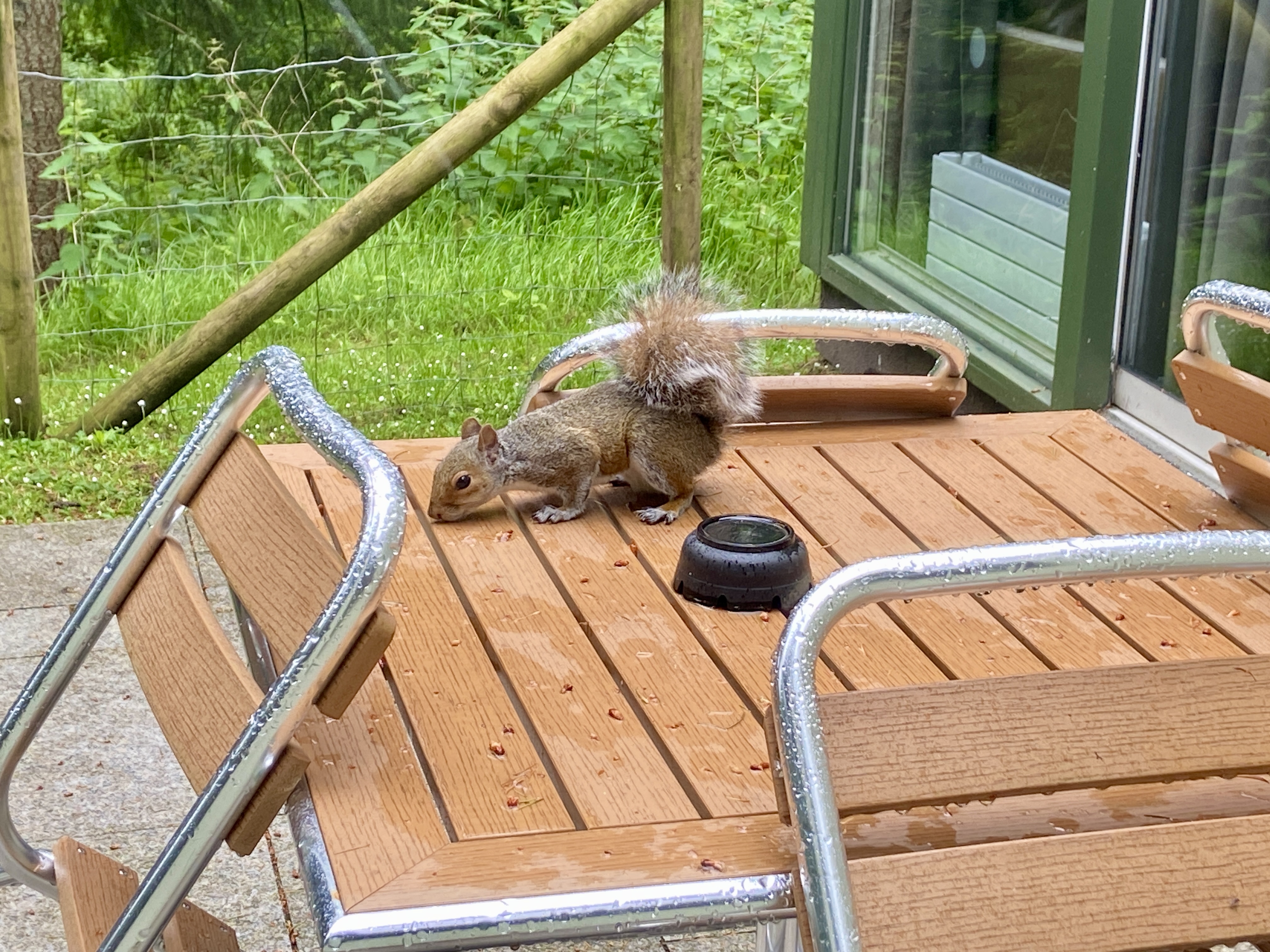 center parcs longleat review