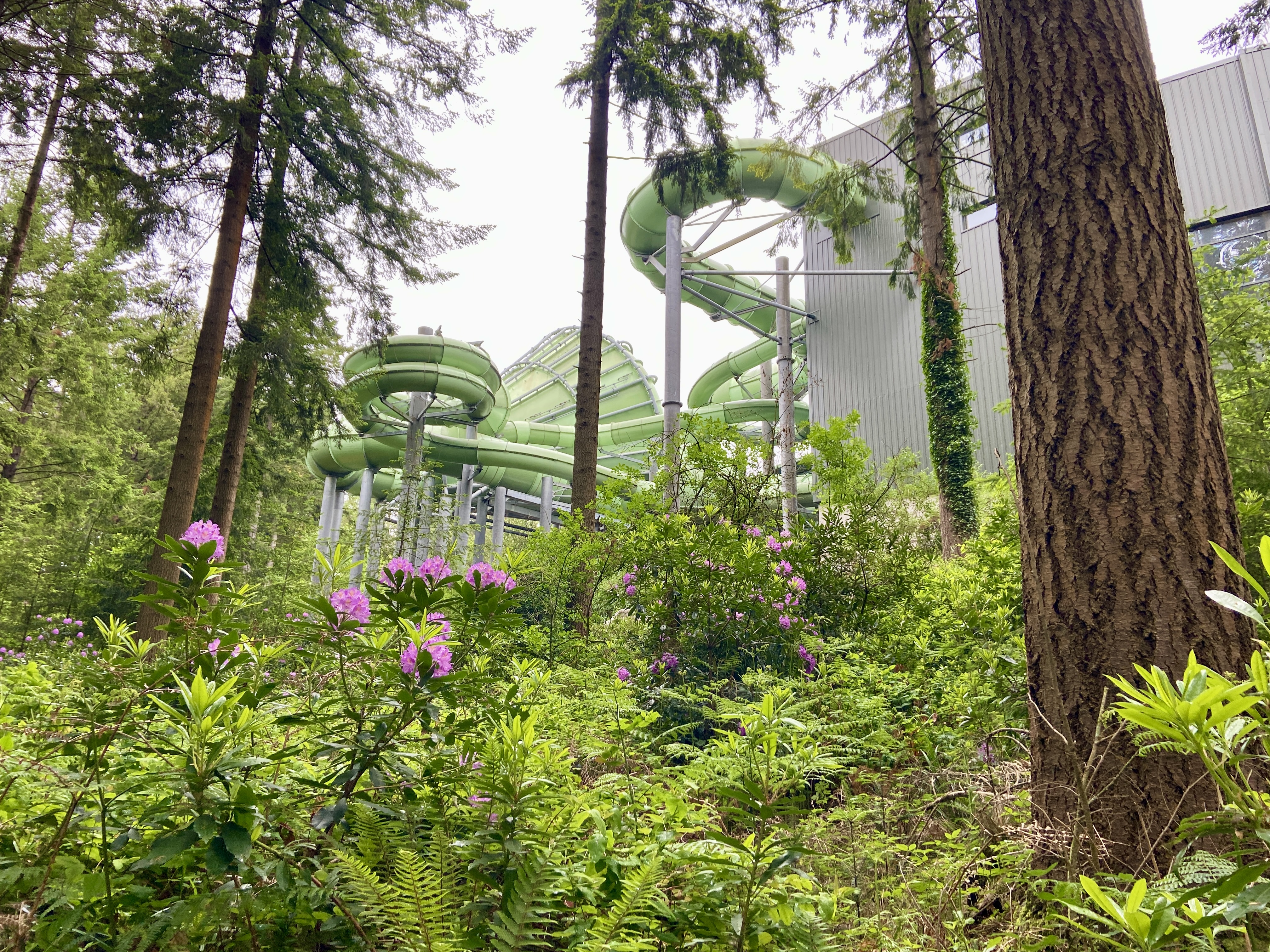 Subtropical Swimming Paradise, Longleat Center Parcs