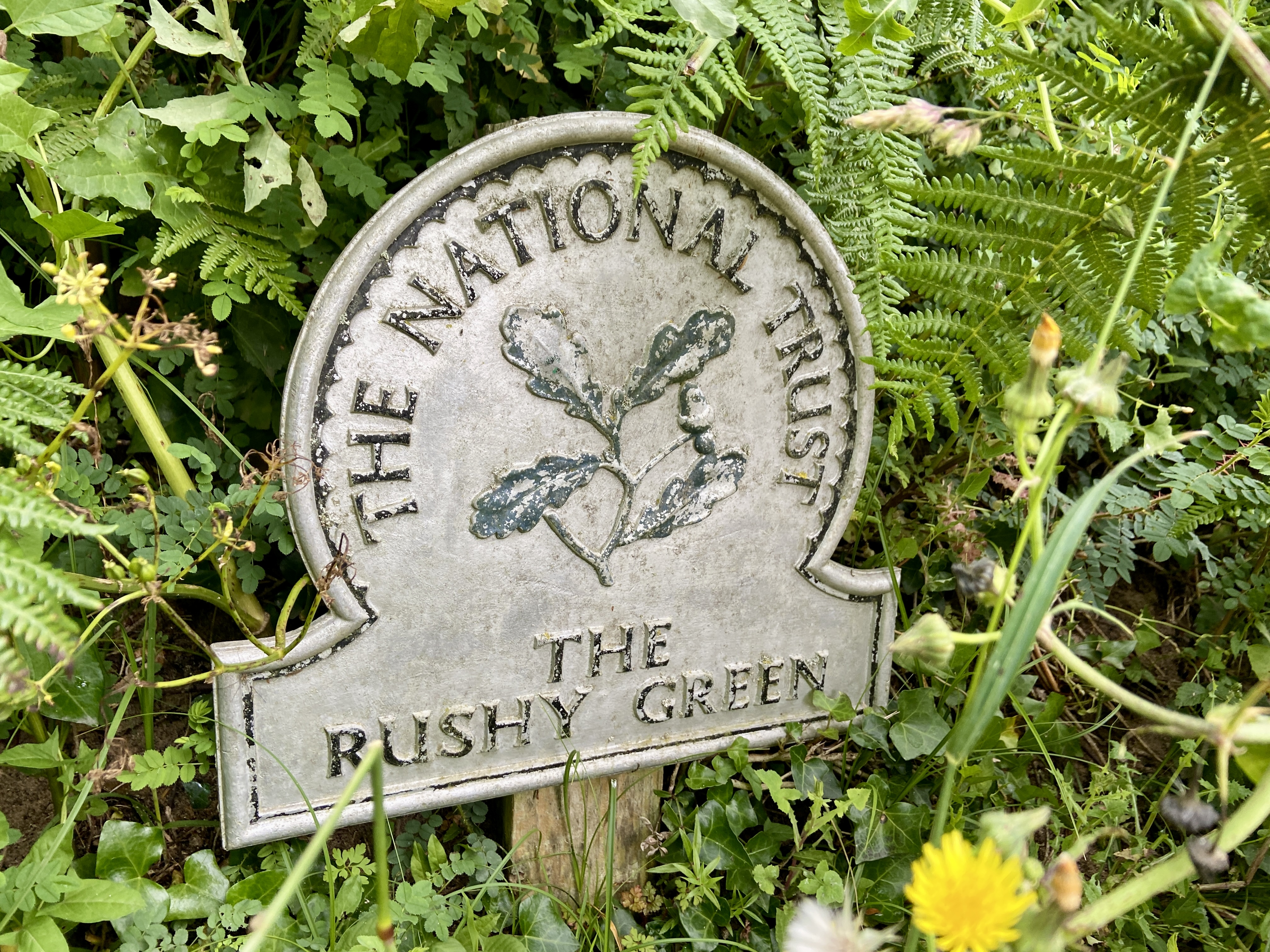 Rushy Green