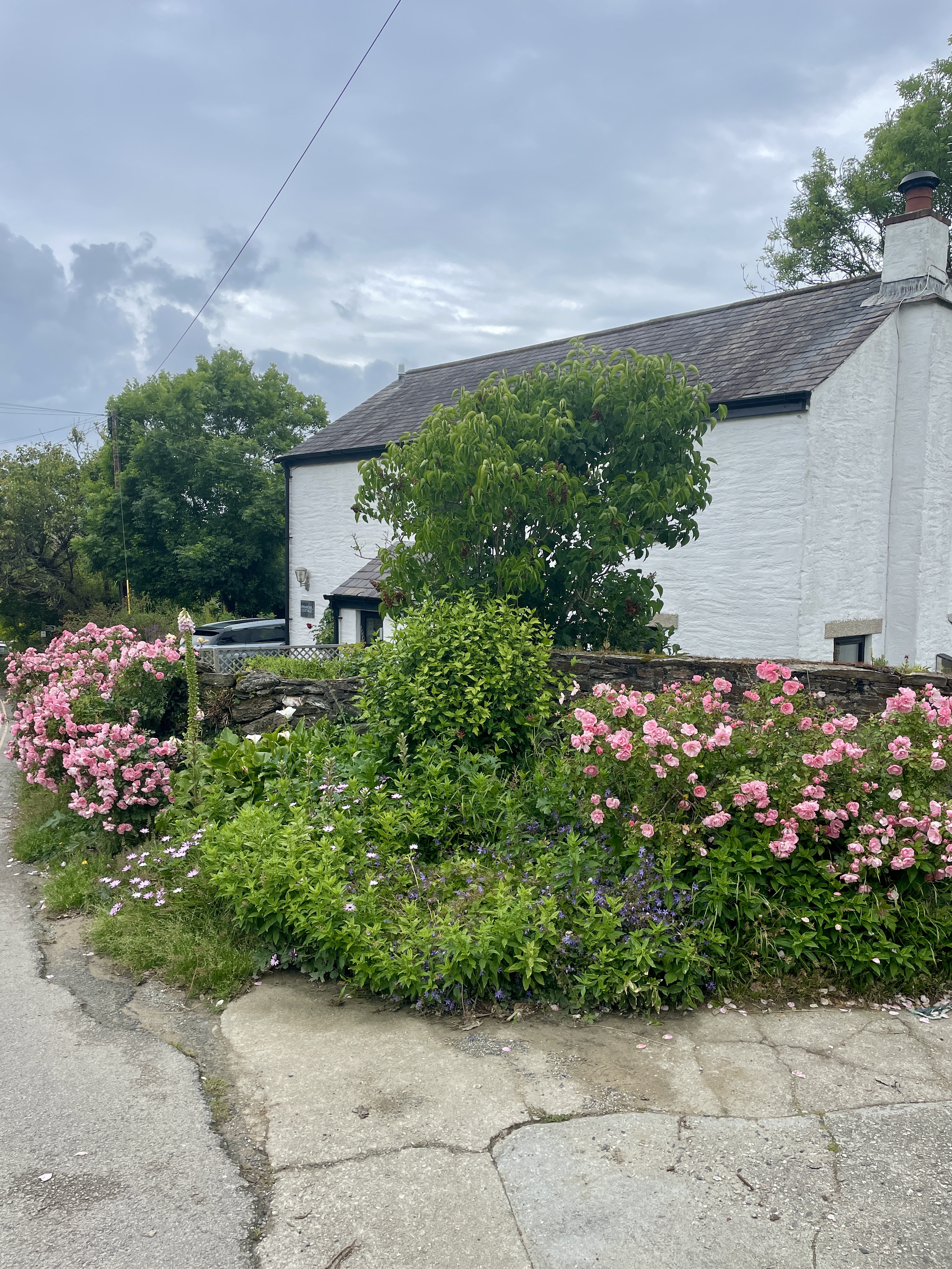 Crantock village