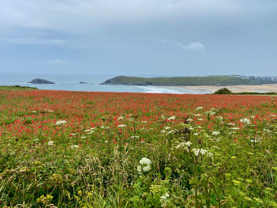 Crantock Village and Poppies Walk Near Newquay