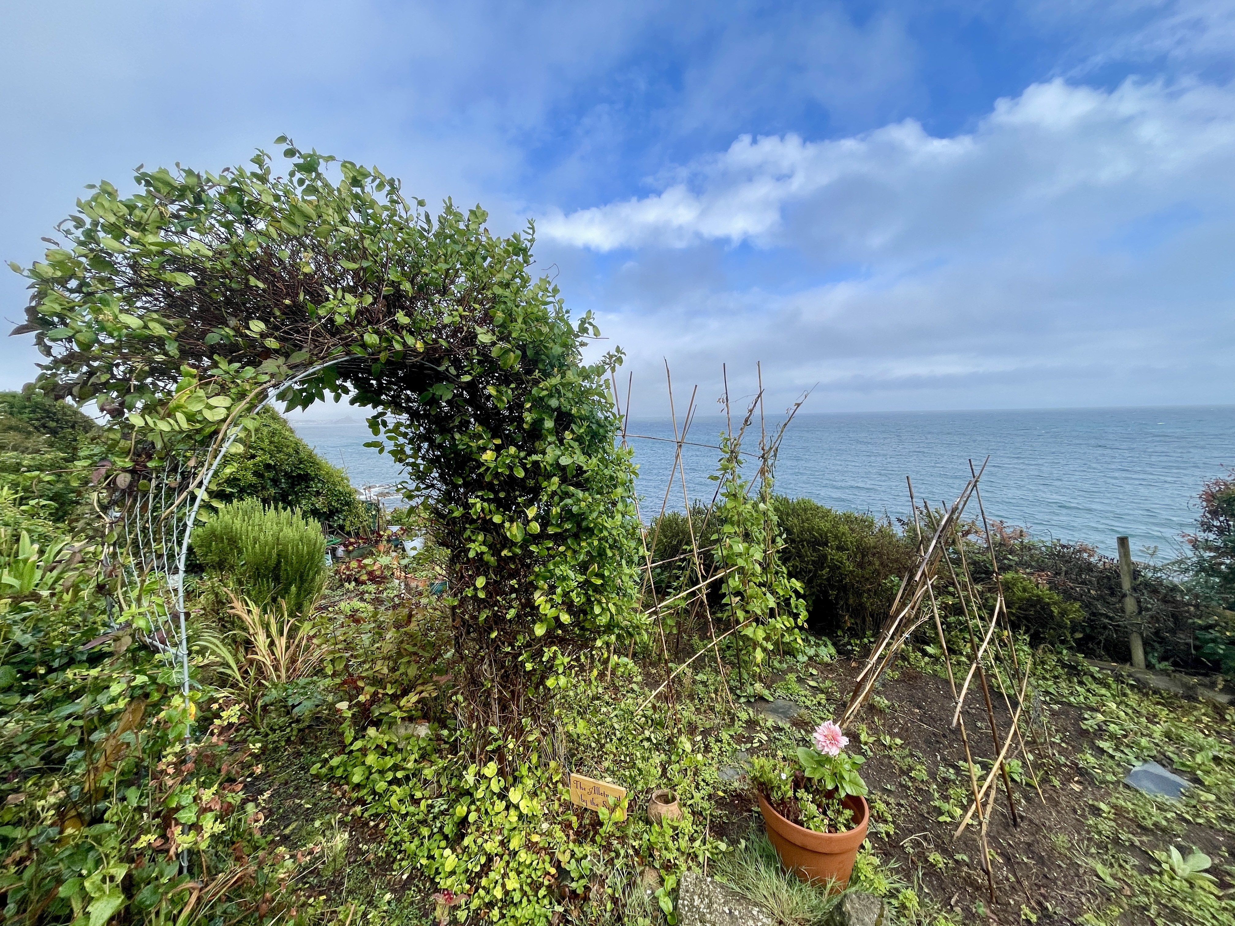 Unique allotments on Cliff Road, near Mousehole