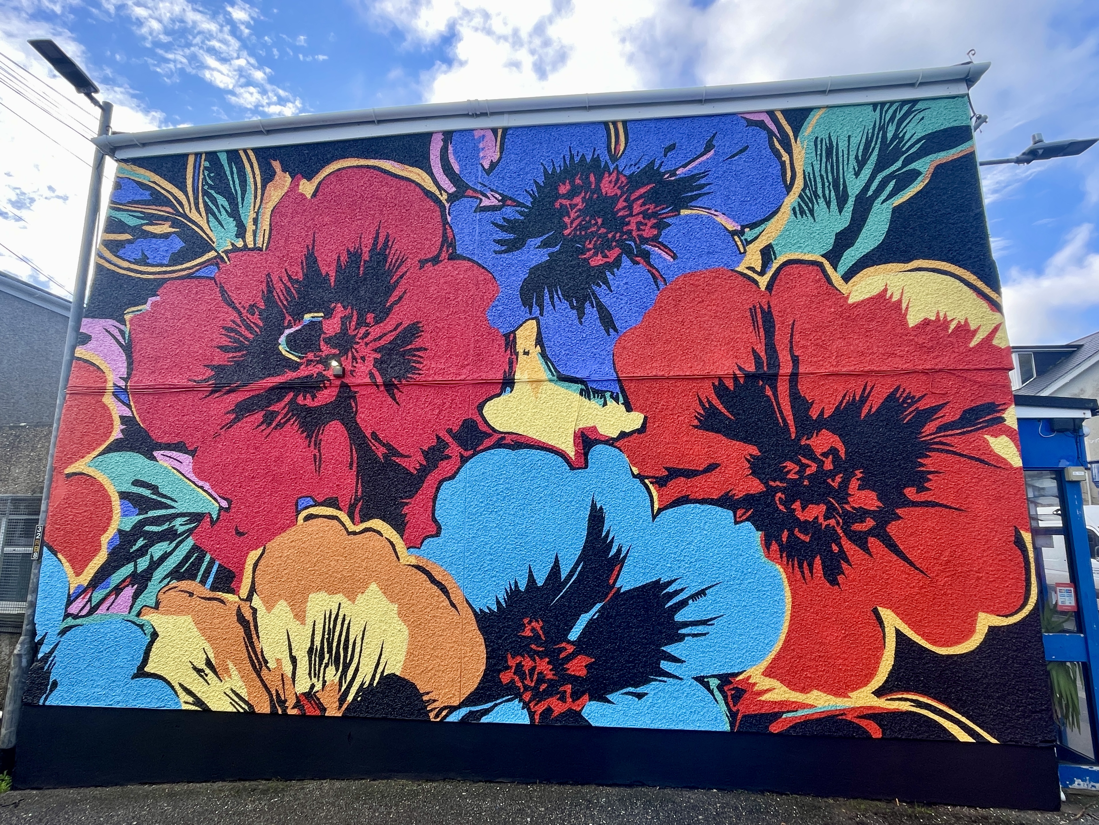 Poppy Mural in Newquay next to Fore Street Car Park