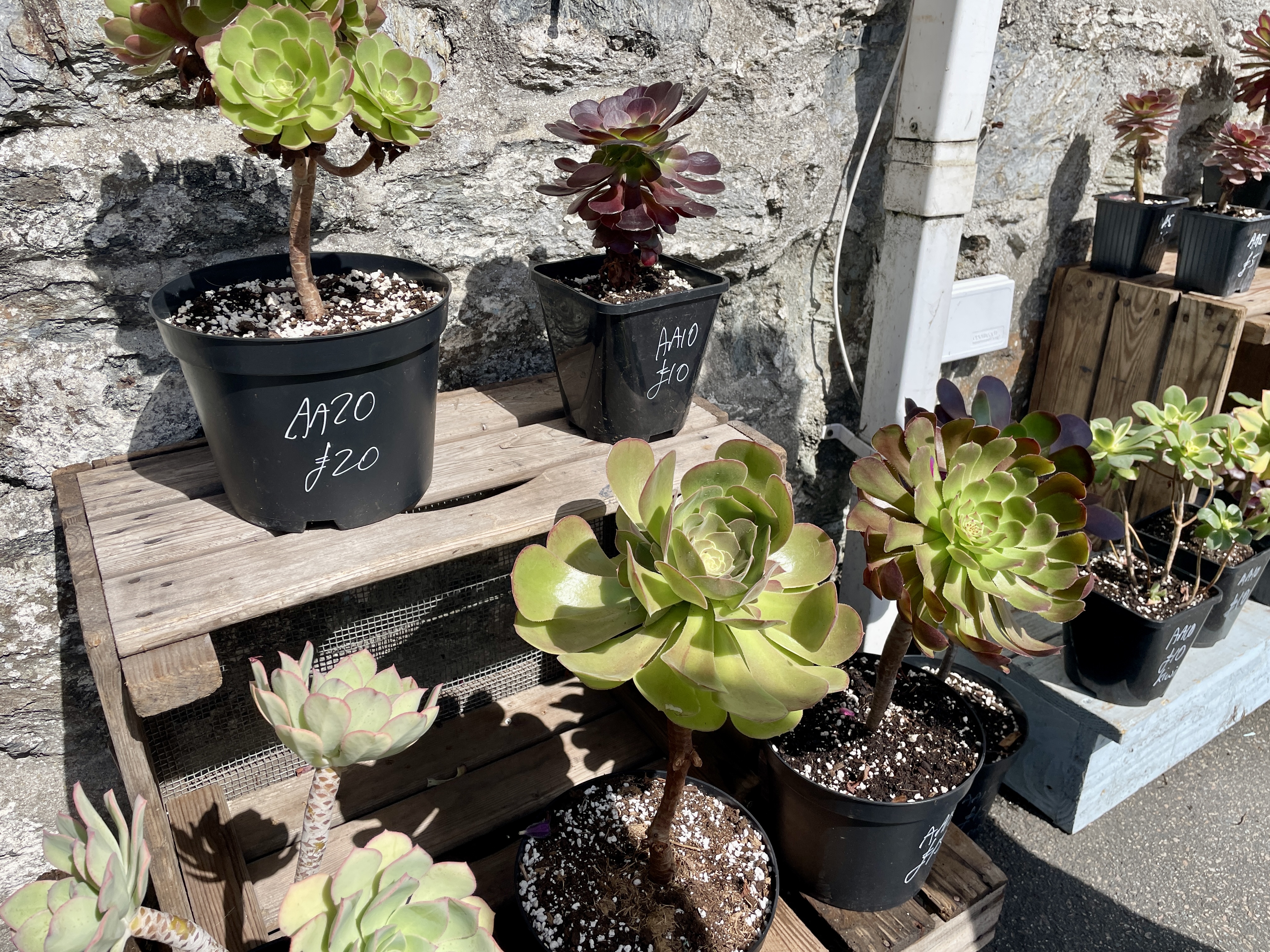 Heather Jane & Co in Porthleven
