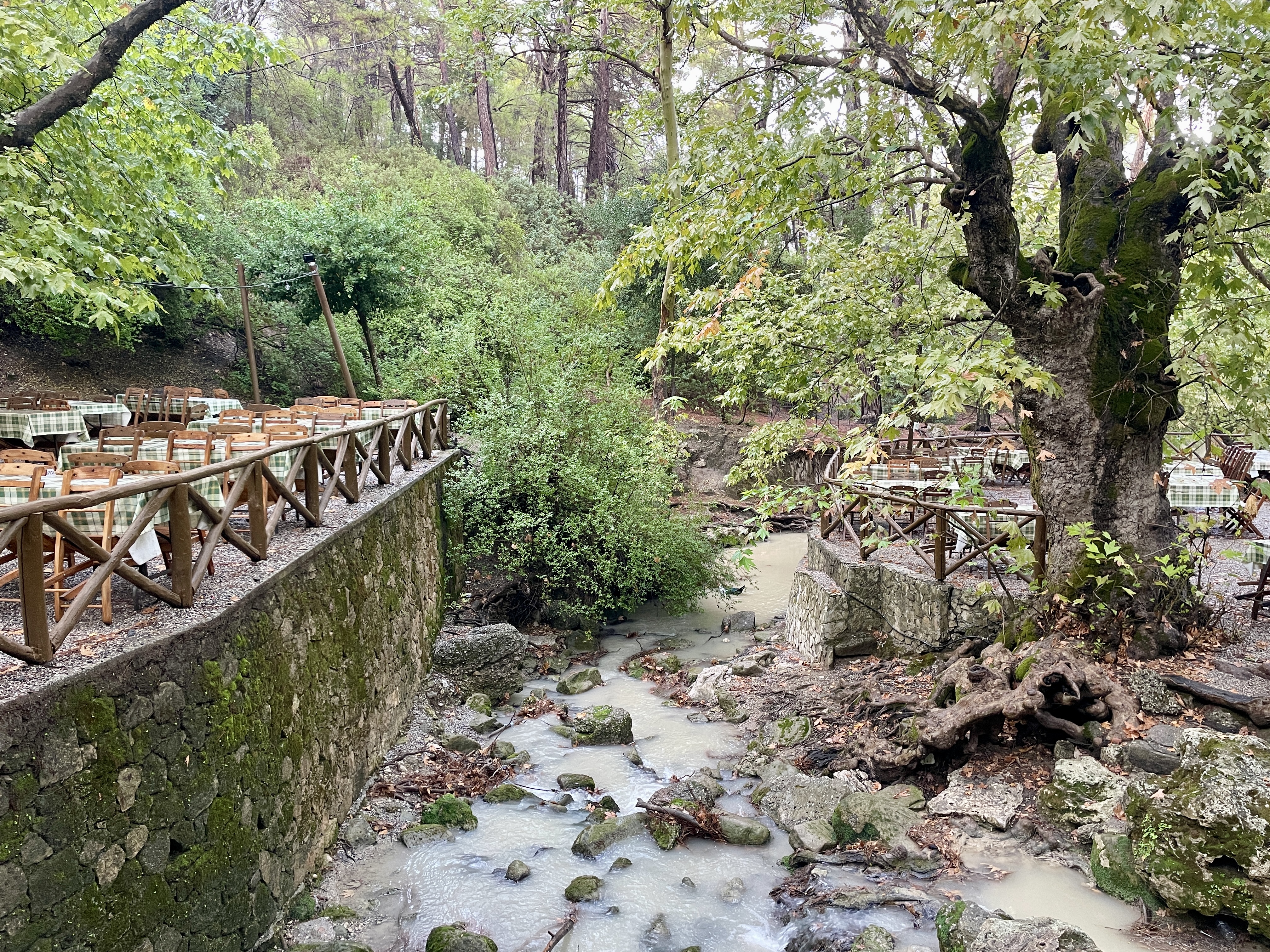 Seven Springs Taverna, outdoor seating either side of the stream