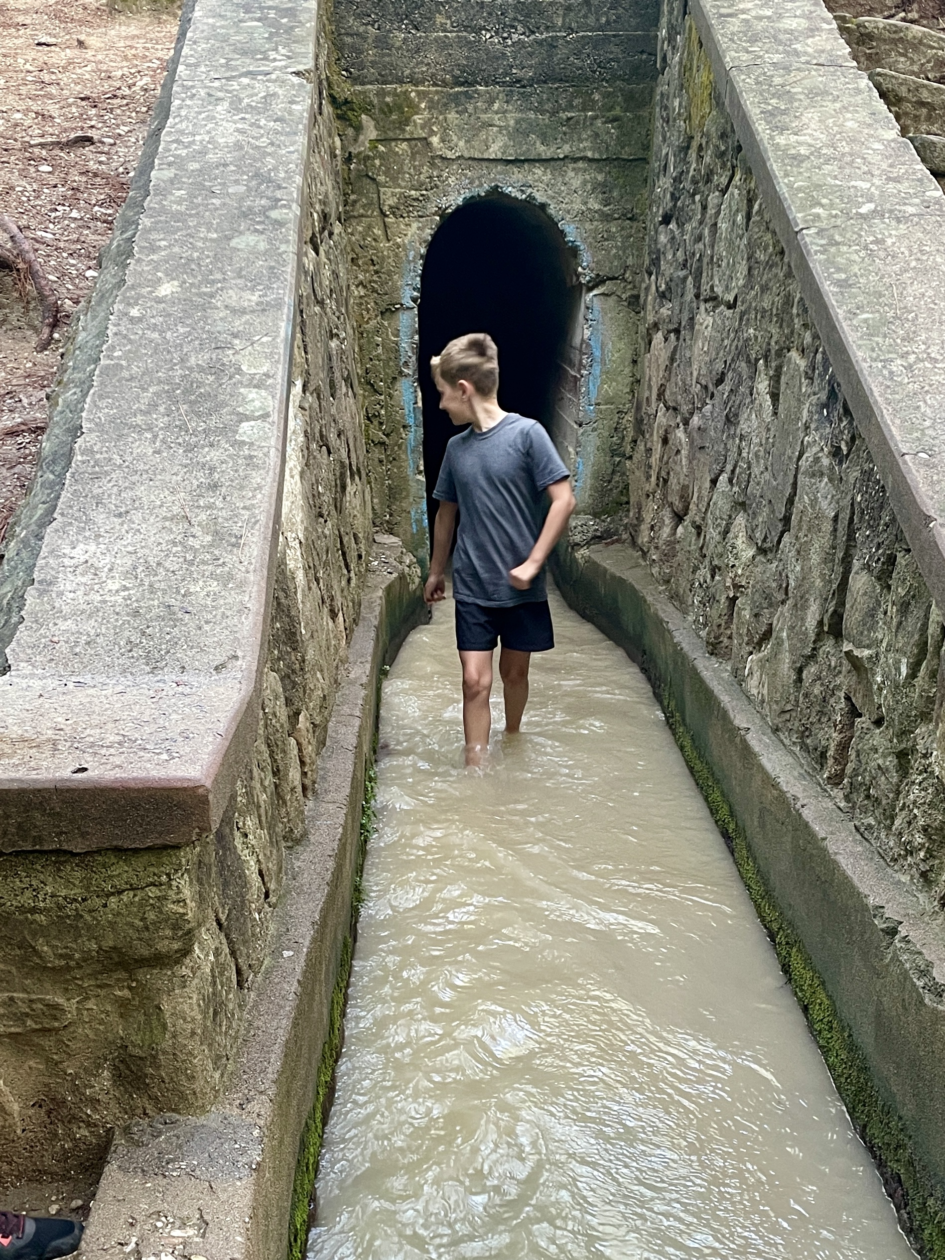 The Tunnel Walk, Seven Springs Rhodes