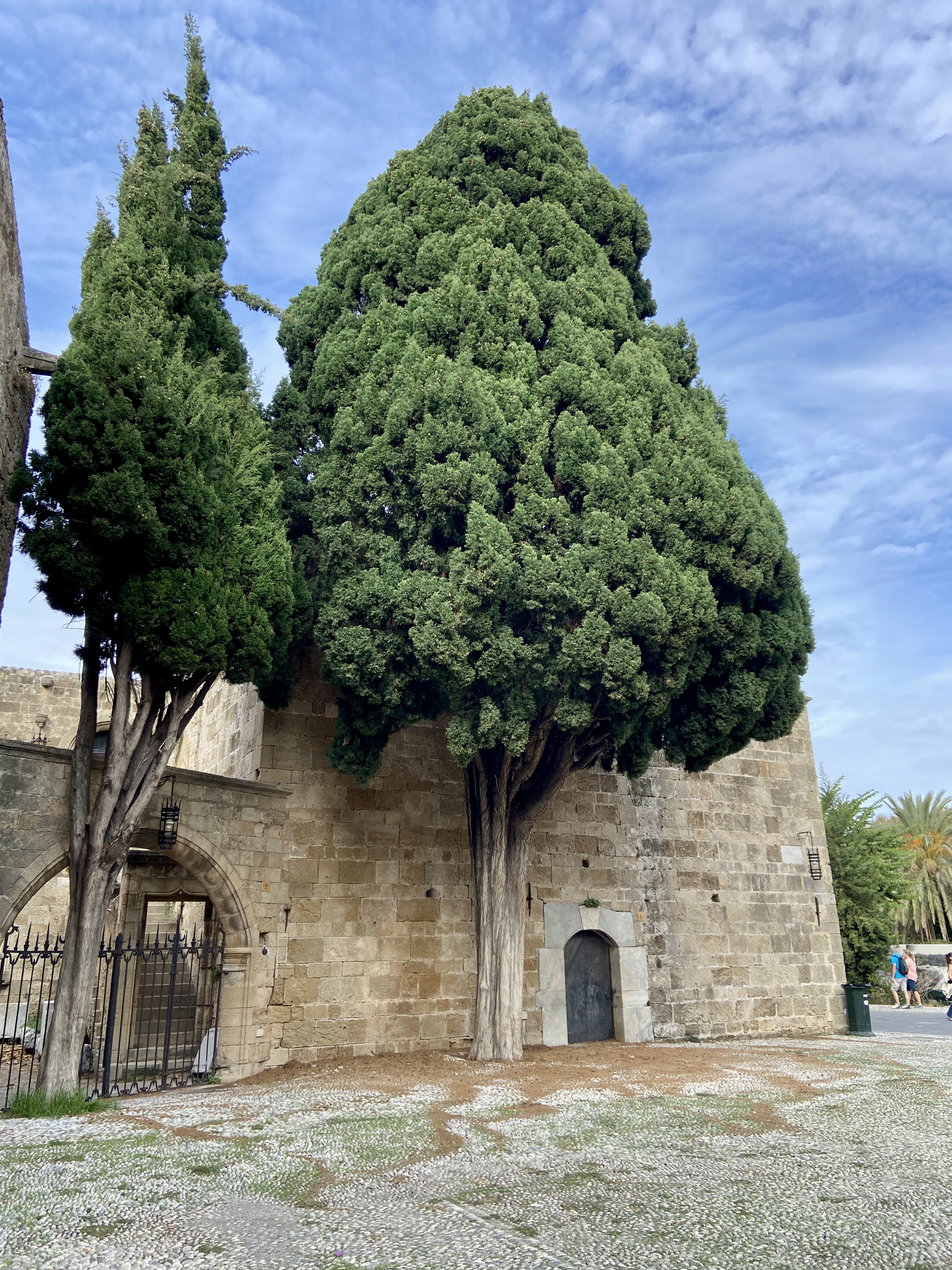 Rhodes Old Town Medieval Buildings 