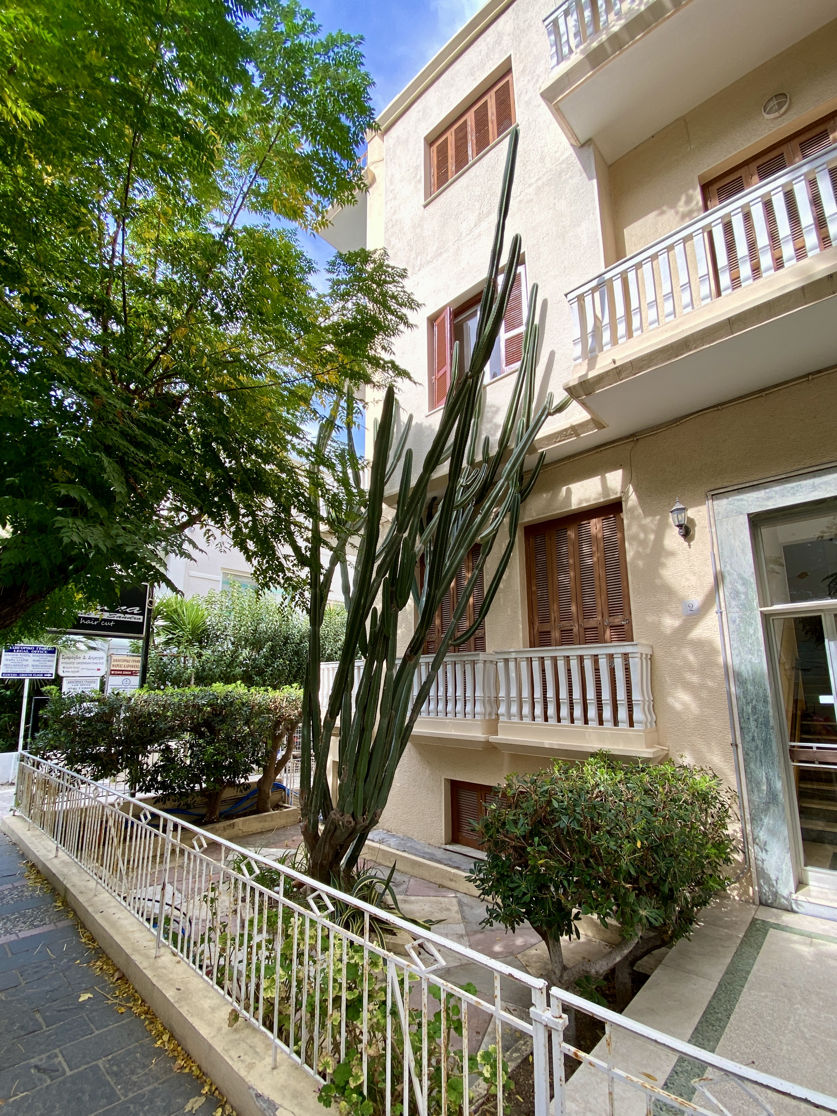 huge cactus as tall as a house in rhodes