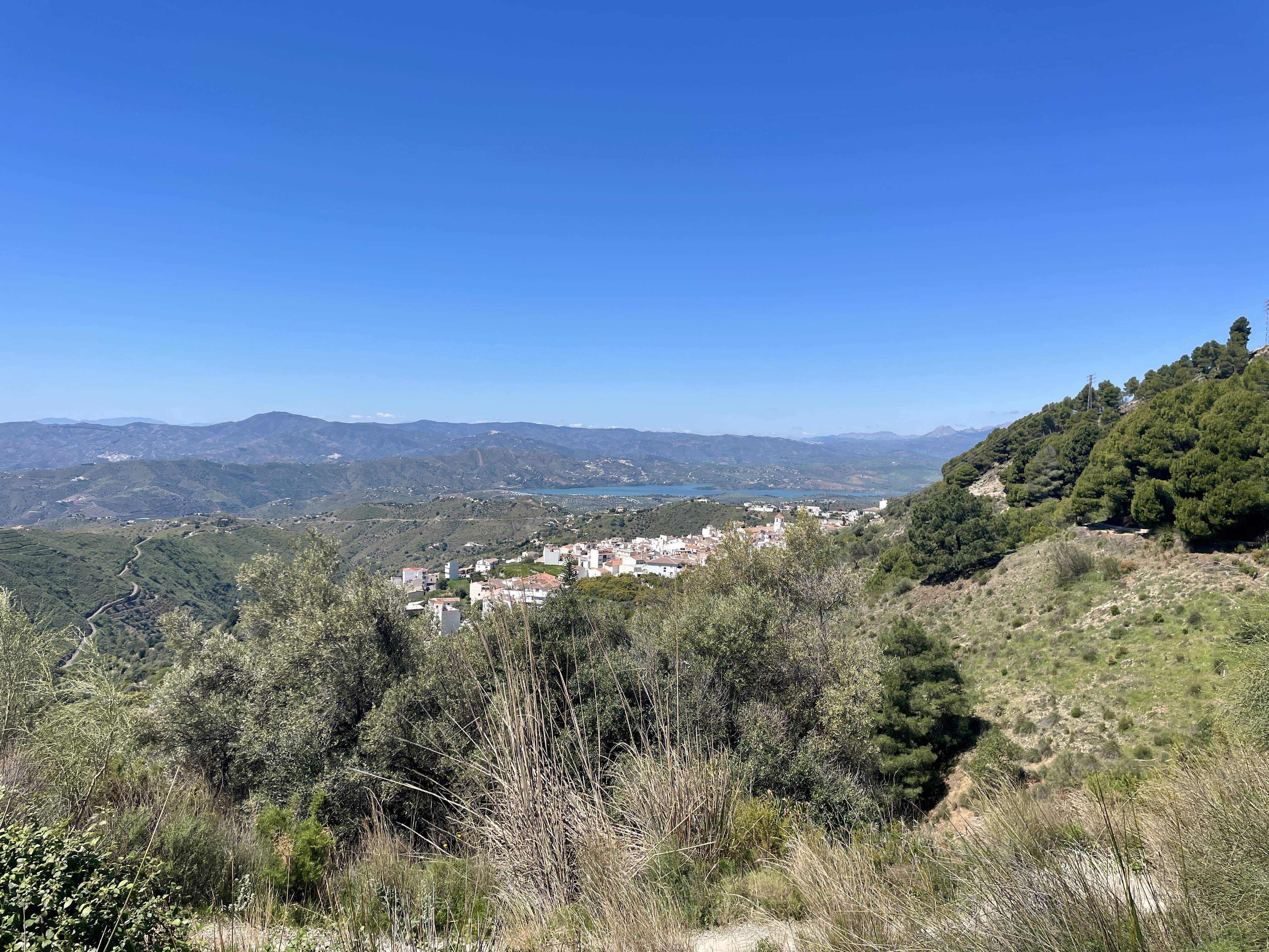 Canillas de Aceituno