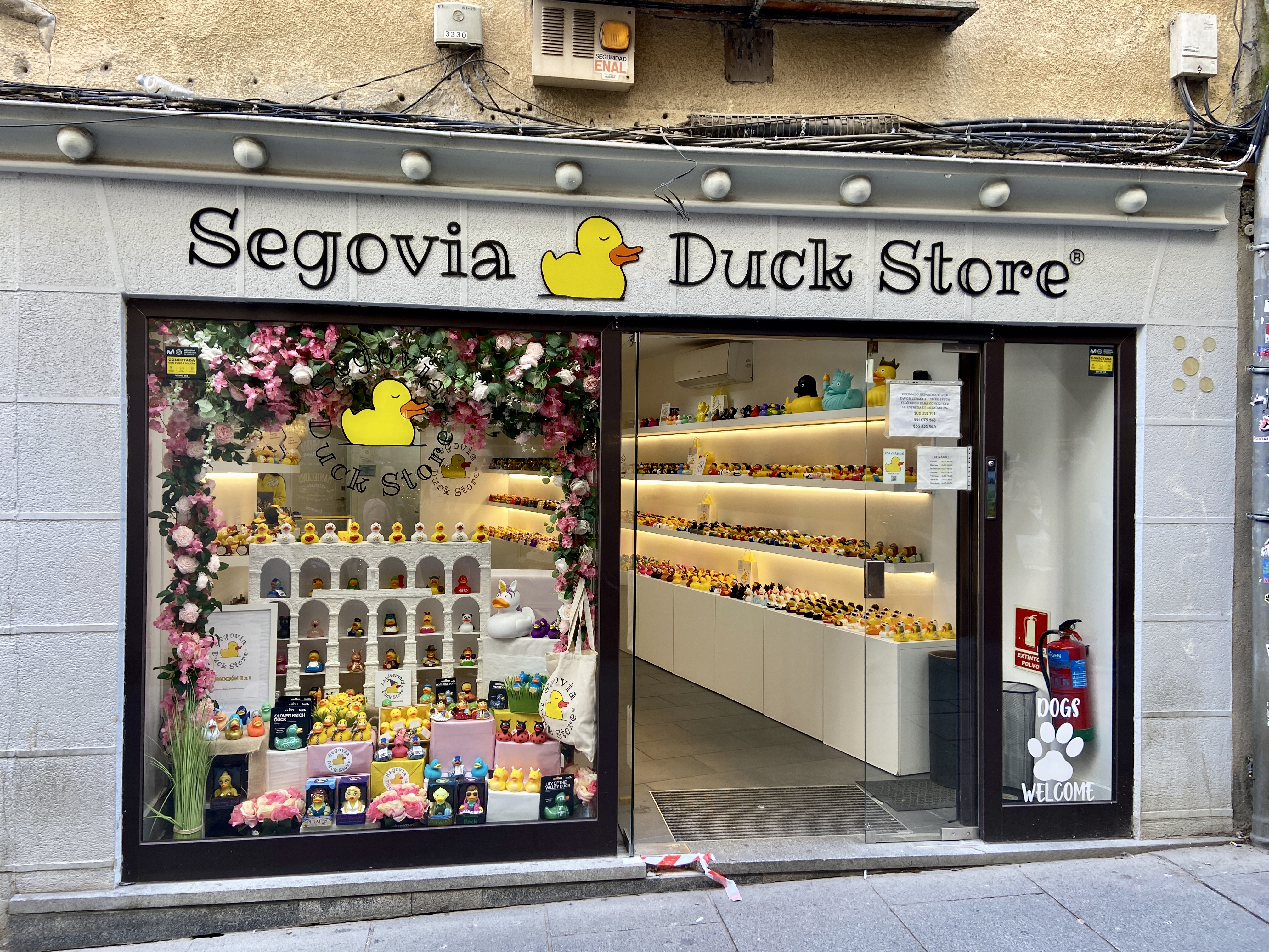 Exploring Segovia in a few hours
