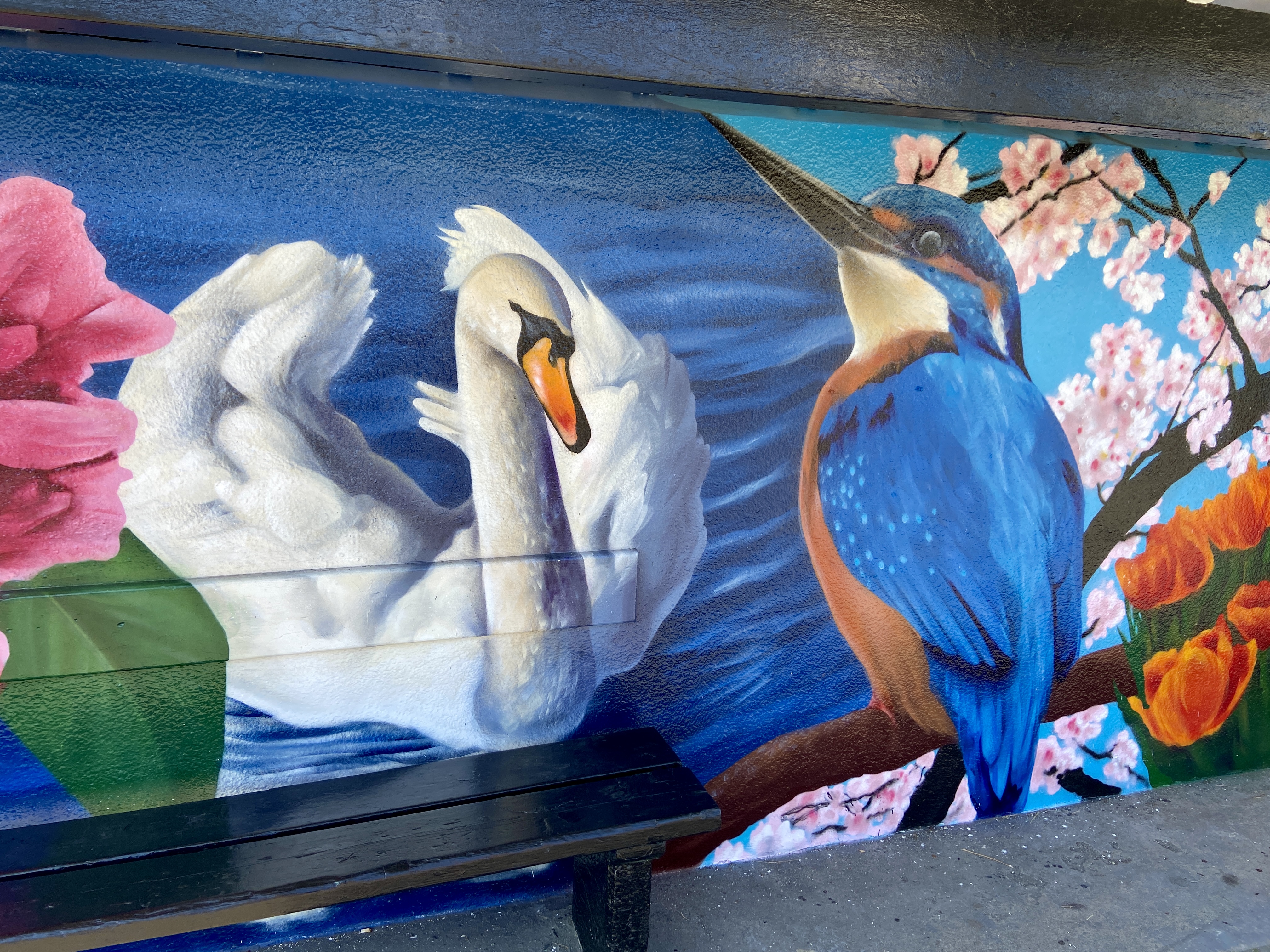 Henver Road bus shelter mural by Slapdash Studio featuring a swan, kingfisher and colourful flowers inspired by Trenance Gardens in Newquay