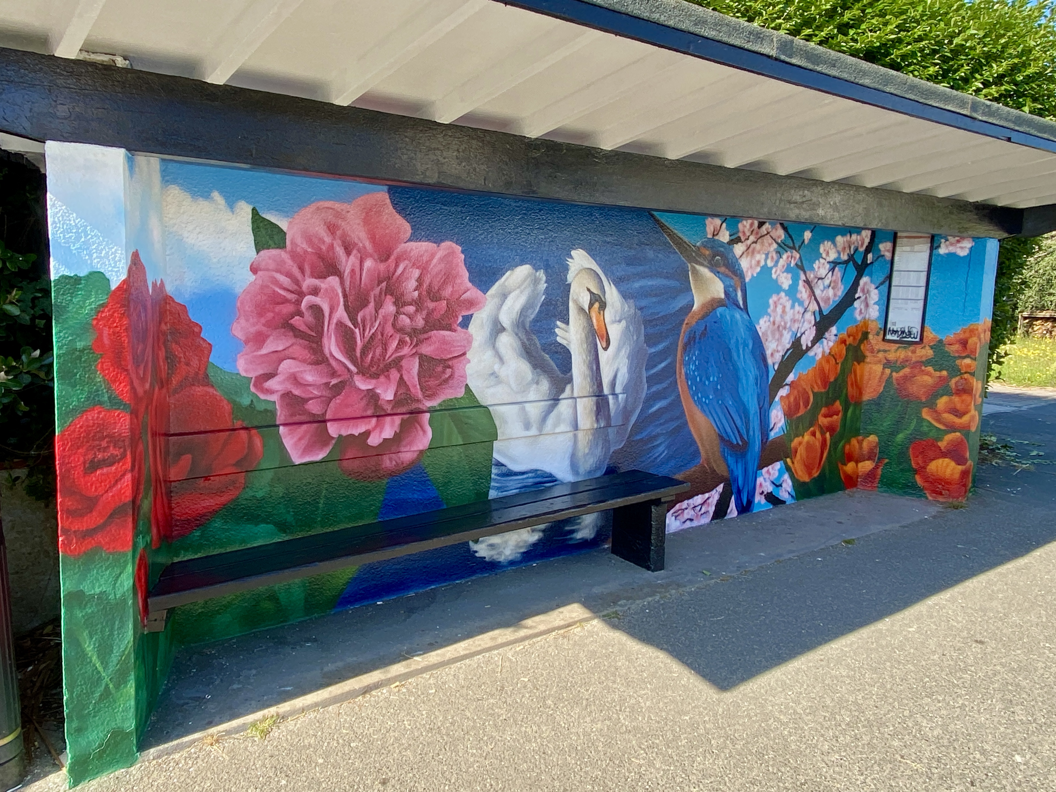 Henver Road bus shelter mural by Slapdash Studio featuring a swan, kingfisher and colourful flowers inspired by Trenance Gardens in Newquay