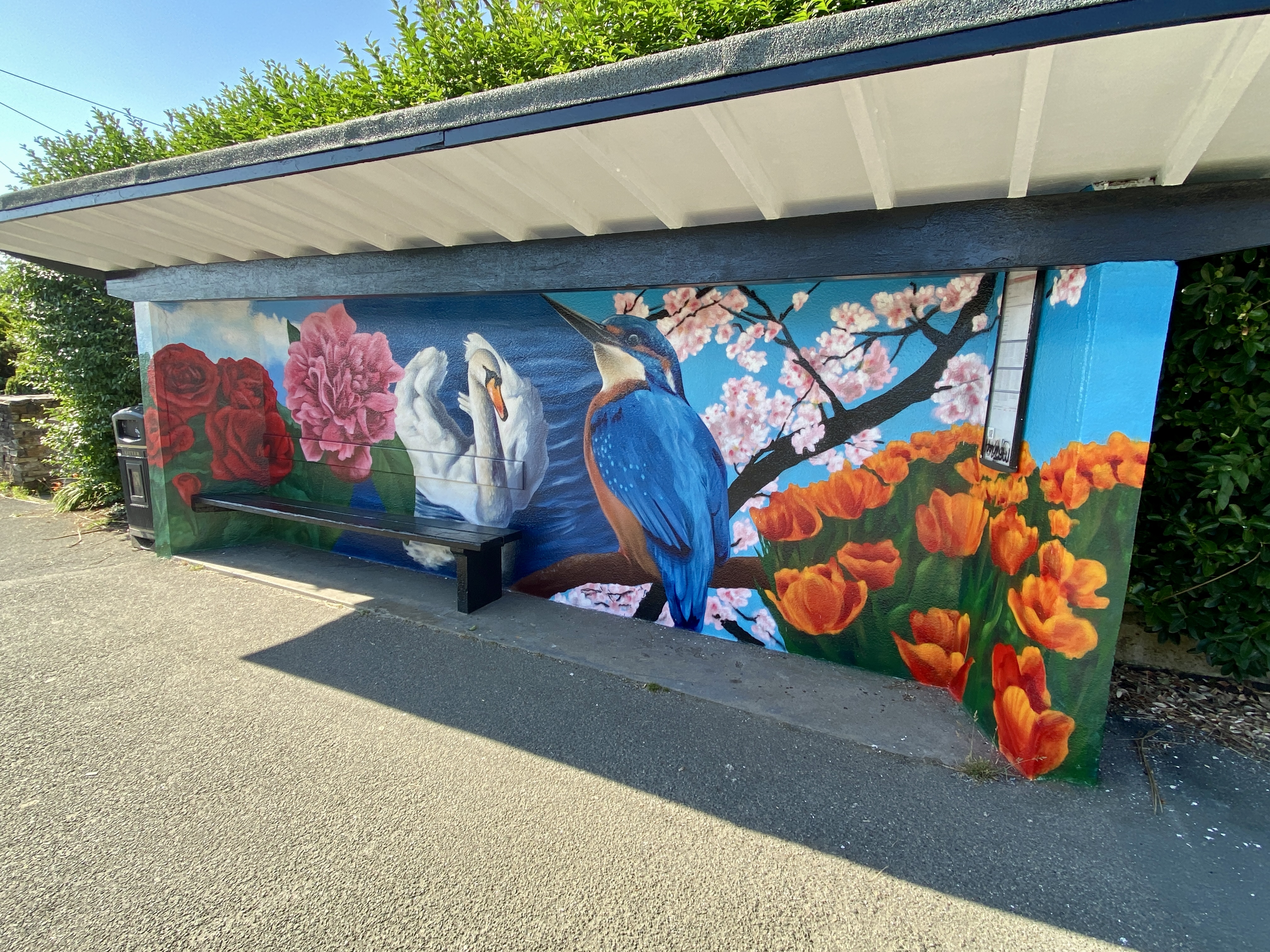 Henver Road bus shelter mural by Slapdash Studio featuring a swan, kingfisher and colourful flowers inspired by Trenance Gardens in Newquay