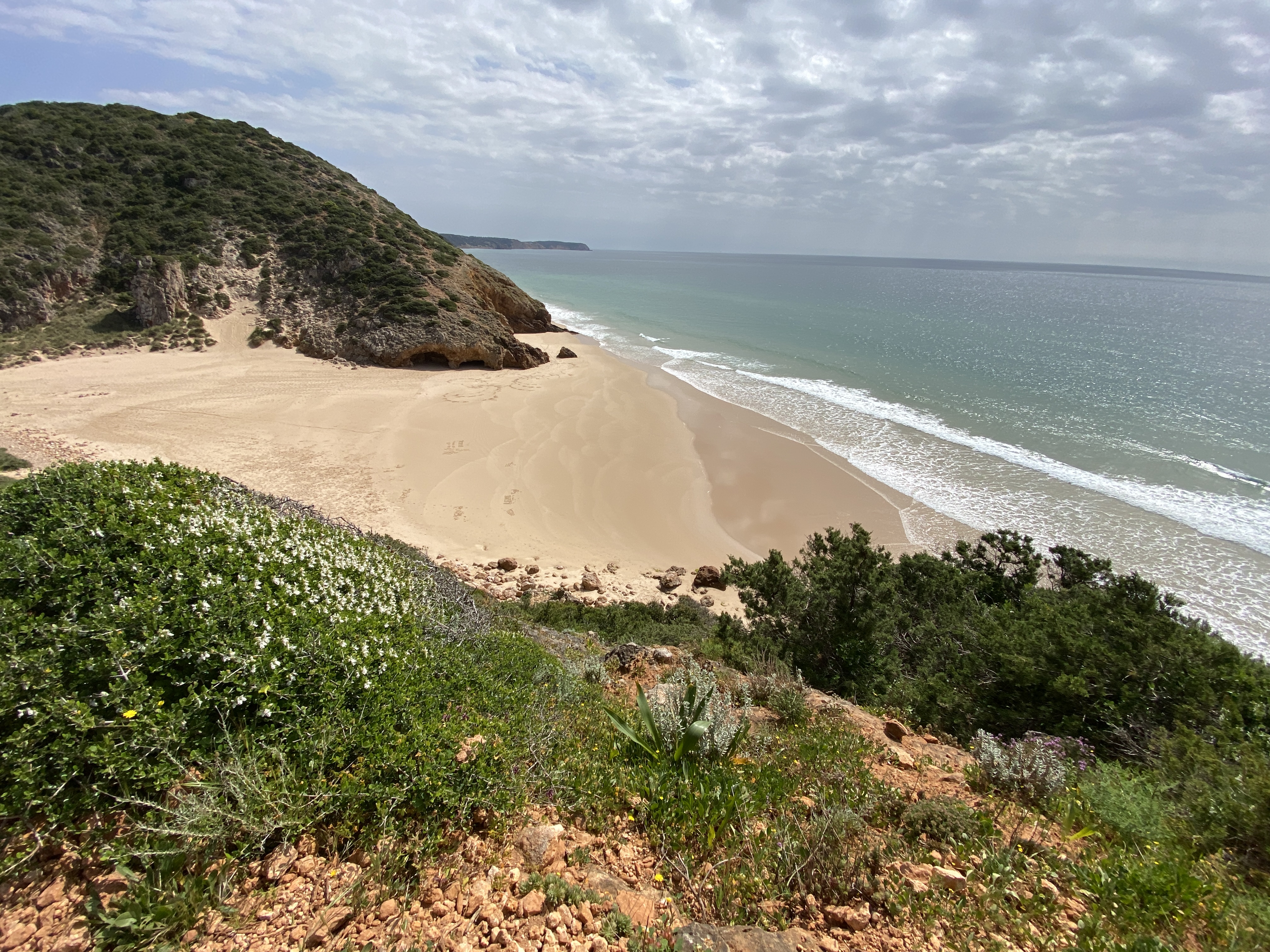 Praia do Amado
