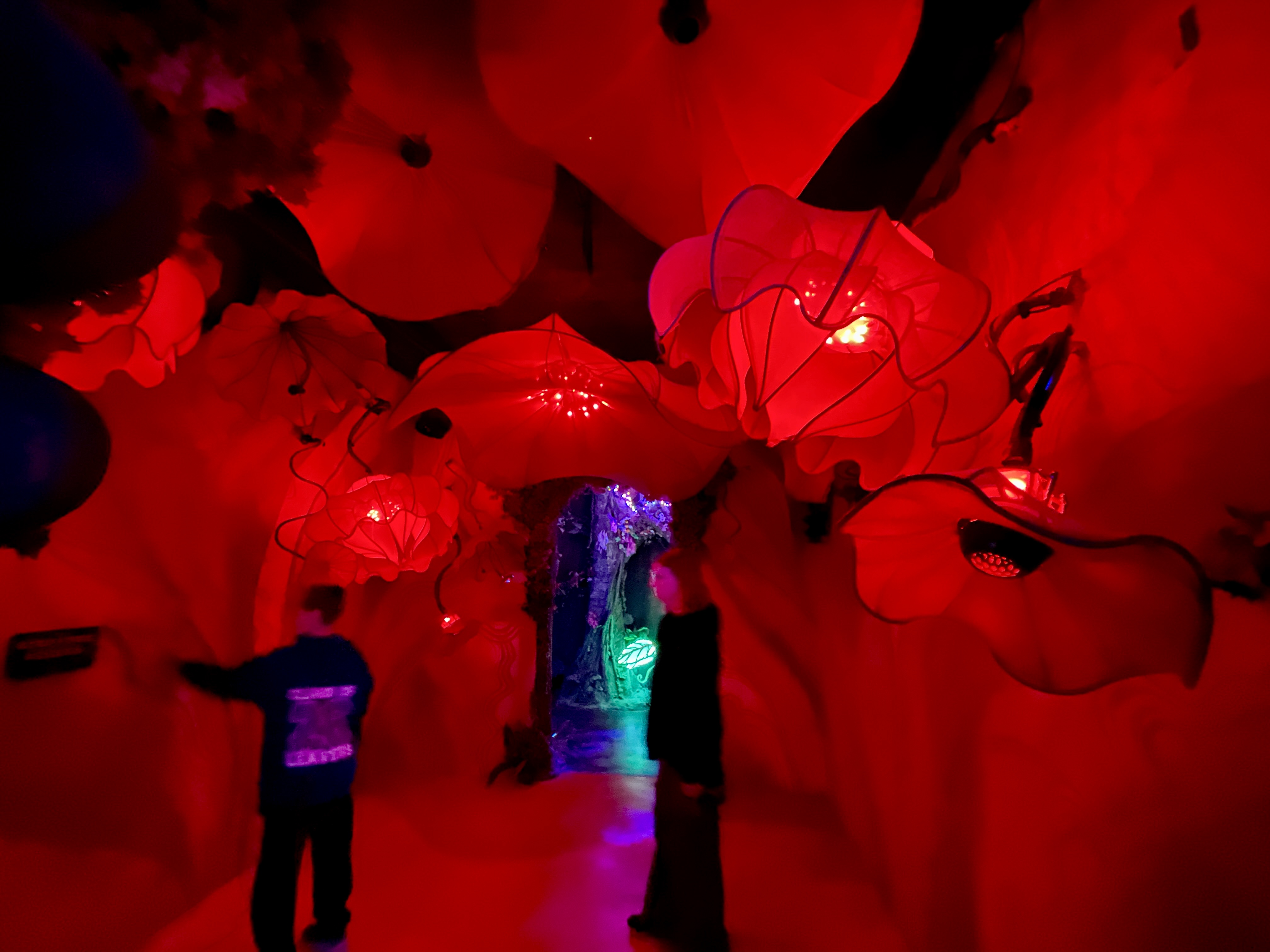 Enormous red flower room at Wake the Tiger Bristol with silhouetted visitors inside