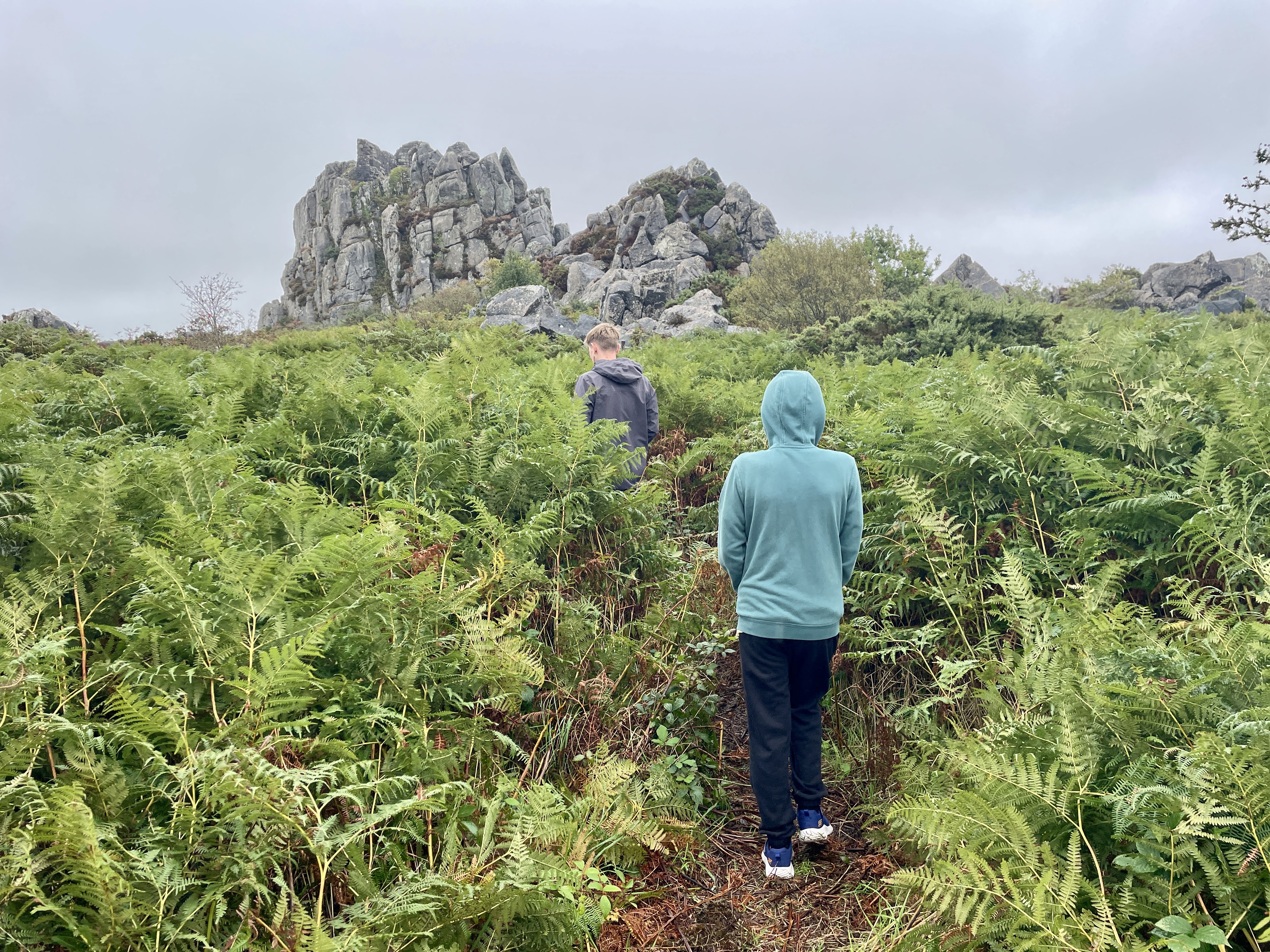 Climbing to Roche Rock across the fern bracken and large rocks