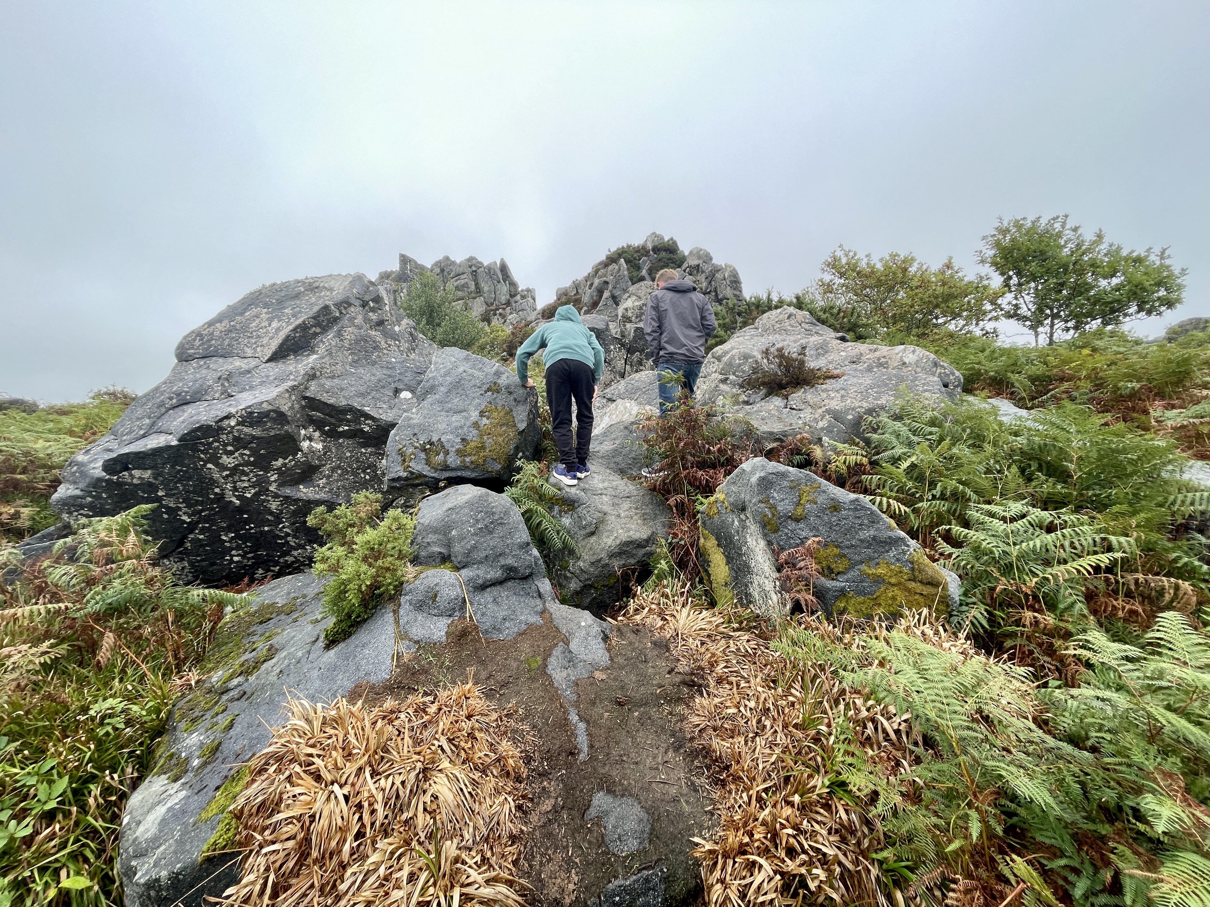Climbing to Roche Rock across the fern bracken and large rocks